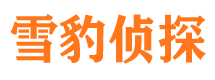 盐湖调查事务所